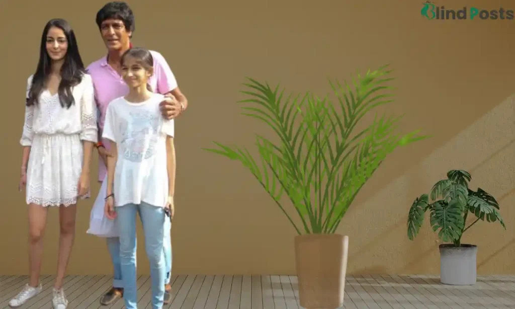 Chikki Panday Children